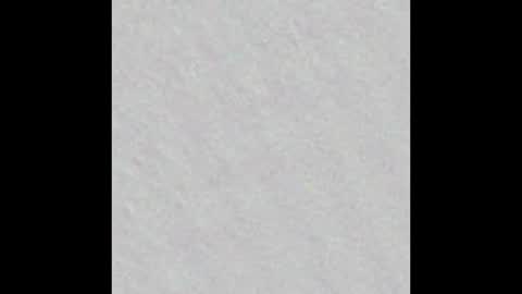 Snapshot of freya_stonee chatting on January 28, 2025, 11:17 am Freya online show from January 28, 2025, 11:17 am
