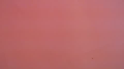 FREYJA LOREN online show from January 16, 2025, 11:16 pm