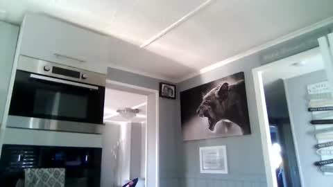 bob online show from December 2, 2025, 10:53 am