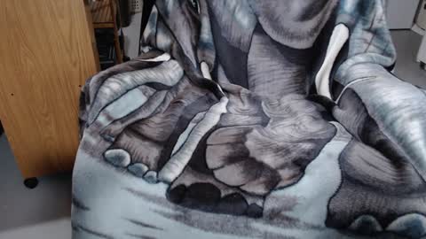 Snapshot of froy4989 chatting on January 7, 2025, 4:05 pm Froy4989 online show from January 7, 2025, 4:05 pm