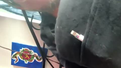 Snapshot of ftm_0 chatting on December 17, 2025, 6:25 pm ftm_0 online show from December 17, 2025, 6:25 pm