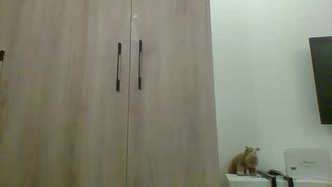 Prince online show from November 13, 2025, 10:36 am