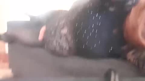 Snapshot of full4cefull chatting on December 29, 2024, 2:17 am Pizzaz online show from December 29, 2024, 2:17 am