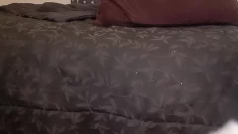 Snapshot of full4cefull chatting on January 14, 2025, 7:06 am Pizzaz online show from January 14, 2025, 7:06 am