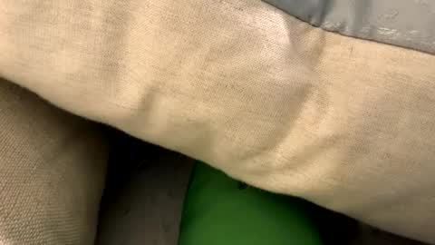 Snapshot of fun4him2018 chatting on January 12, 2026, 5:40 pm fun4him2018 online show from January 12, 2026, 5:40 pm