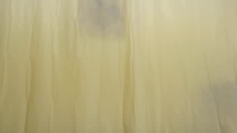 Snapshot of fun4tips chatting on February 15, 2025, 3:28 pm Fun4Tips online show from February 15, 2025, 3:28 pm