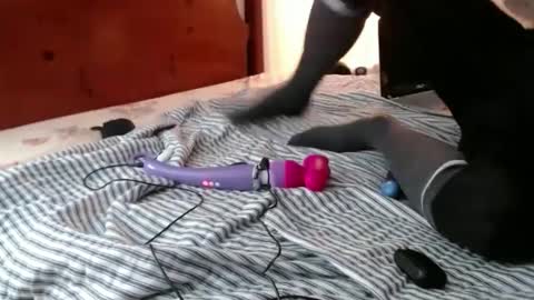 Funcock online show from December 14, 2024, 11:50 am