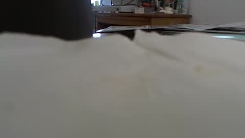 funone8848 online show from January 13, 2025, 8:04 pm