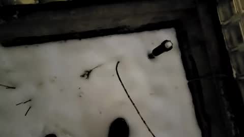 Snapshot of funtimesz143 chatting on December 24, 2024, 2:21 am funtimesz143 online show from December 24, 2024, 2:21 am