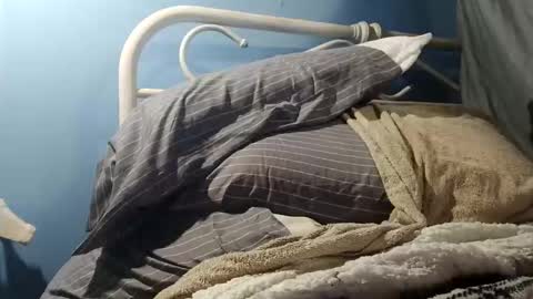 funundertheburk6414270497 online show from November 25, 2025, 12:27 pm