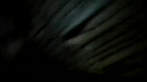 Snapshot of fuxkhergood2 chatting on December 20, 2024, 7:28 pm YoungBullAl online show from December 20, 2024, 7:28 pm