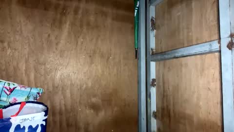 Snapshot of fvckingscarlet chatting on November 23, 2025, 12:10 am fvckingscarlet online show from November 23, 2025, 12:10 am