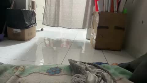 gab021593 online show from January 14, 2026, 3:06 pm