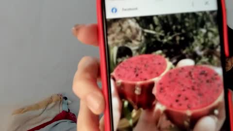 Snapshot of gabriela_duarte chatting on January 19, 2025, 12:50 pm Gabi online show from January 19, 2025, 12:50 pm