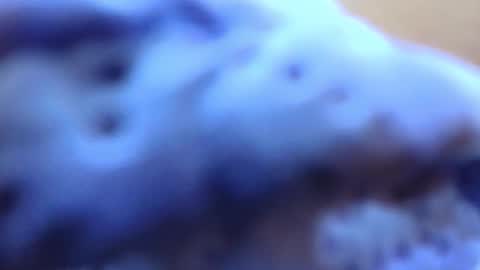 gabriela online show from February 14, 2026, 7:10 pm