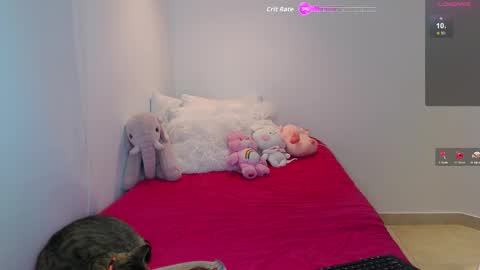 .  online show from February 26, 2026, 4:11 am