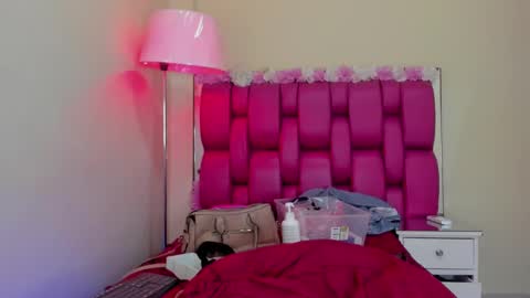 Snapshot of gabrielaa_01 chatting on February 5, 2025, 5:31 pm Gaby Im on vacation see you on November 25 online show from February 5, 2025, 5:31 pm