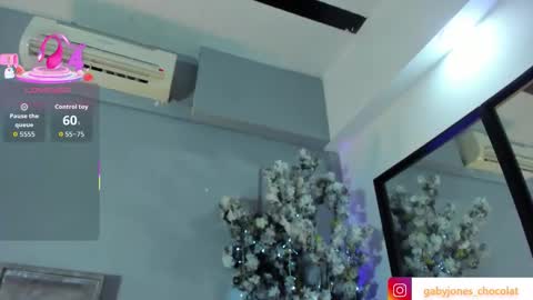 gabyyjones online show from November 25, 2025, 11:21 am