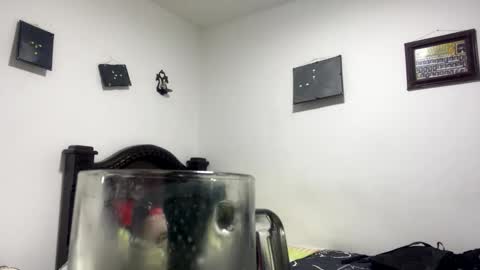 gadiel_sex online show from October 31, 2025, 11:39 pm