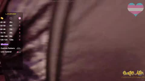 Gage Allin AKA Alpha Pussy online show from April 9, 2026, 10:37 pm