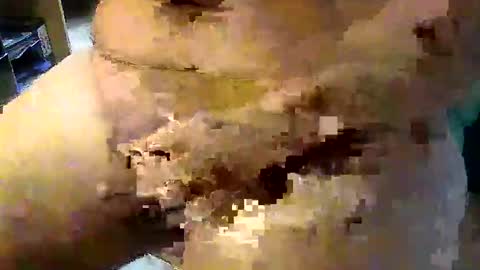 Snapshot of gallimanxxleu chatting on September 17, 2025, 8:05 am Stutzen online show from September 17, 2025, 8:05 am