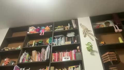 Snapshot of gargoyle_blog chatting on May 29, 2026, 3:48 am Gargoyle online show from May 29, 2026, 3:48 am