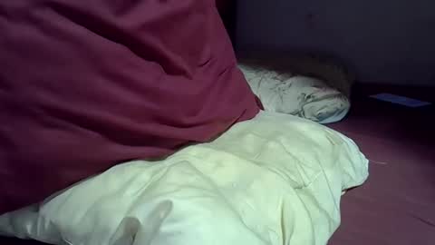 Snapshot of gasielah chatting on February 2, 2026, 7:45 pm gasielah online show from February 2, 2026, 7:45 pm