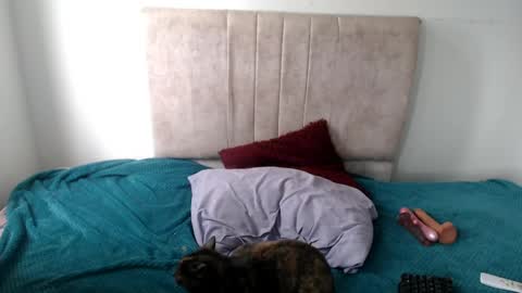 gatita13333321 online show from April 13, 2026, 5:18 pm