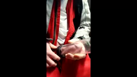 gator19037526775 online show from March 13, 2026, 2:23 pm