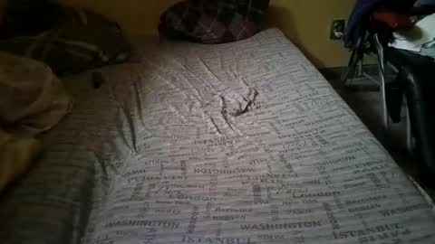 gazdadjoka online show from February 14, 2025, 2:23 pm