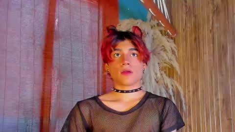 HAN online show from January 13, 2026, 1:16 pm