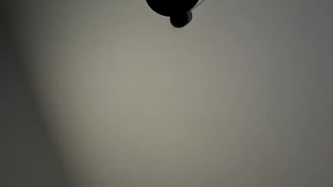 gazg1984 online show from January 29, 2025, 10:22 pm