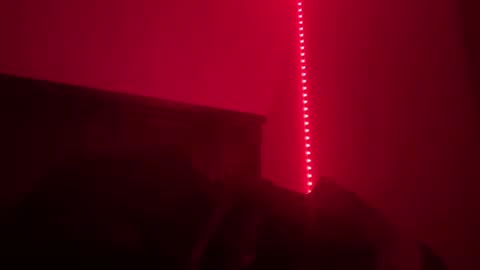 Snapshot of geisha_tara chatting on December 10, 2024, 8:51 am Tara online show from December 10, 2024, 8:51 am