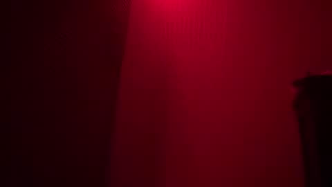 Snapshot of geisha_tara chatting on February 17, 2025, 12:38 pm Tara online show from February 17, 2025, 12:38 pm