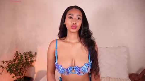    online show from July 14, 2026, 2:05 am