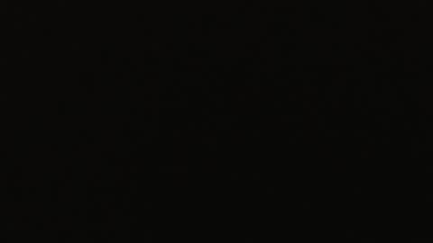 genitalwars online show from December 22, 2025, 11:40 am