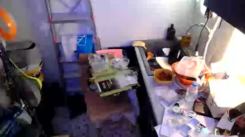 Snapshot of georgempt chatting on January 18, 2025, 9:24 am georgempt online show from January 18, 2025, 9:24 am