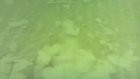 Snapshot of georgempt chatting on June 15, 2026, 5:42 am georgempt online show from June 15, 2026, 5:42 am