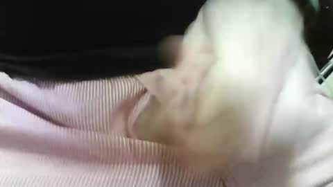 Snapshot of germandaddydick1 chatting on October 25, 2025, 8:03 pm germandaddydick1 online show from October 25, 2025, 8:03 pm