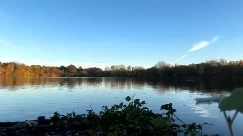 Snapshot of germanwankingman92 chatting on November 5, 2025, 3:12 pm Pink Dog online show from November 5, 2025, 3:12 pm