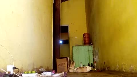 Snapshot of ghabriel7777788 chatting on November 14, 2025, 6:50 pm Gaby online show from November 14, 2025, 6:50 pm