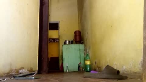 Snapshot of ghabriel7777788 chatting on January 15, 2026, 6:00 pm Gaby online show from January 15, 2026, 6:00 pm