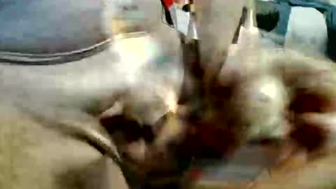 ghost1805 online show from November 20, 2025, 10:53 pm