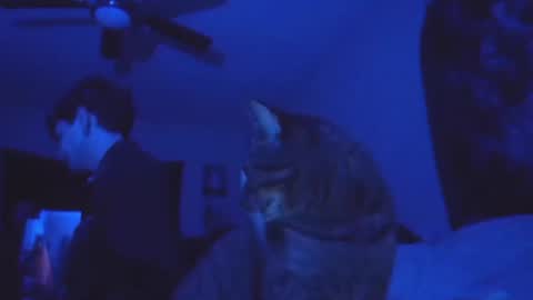 Snapshot of ghostcondor11 chatting on November 13, 2025, 8:57 am SrirachaSwitchblade online show from November 13, 2025, 8:57 am