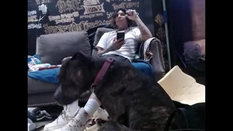 ghxstface23 online show from September 11, 2025, 2:00 am