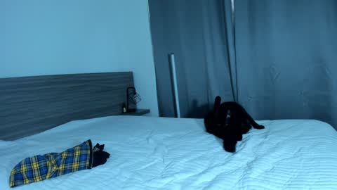 Snapshot of giannasue chatting on January 11, 2025, 6:01 pm giannasue online show from January 11, 2025, 6:01 pm