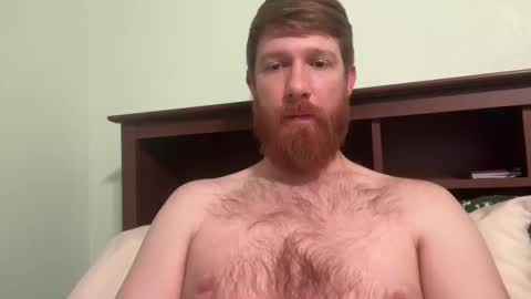 Snapshot of gingermania10 chatting on December 4, 2024, 4:54 am gingermania10 online show from December 4, 2024, 4:54 am