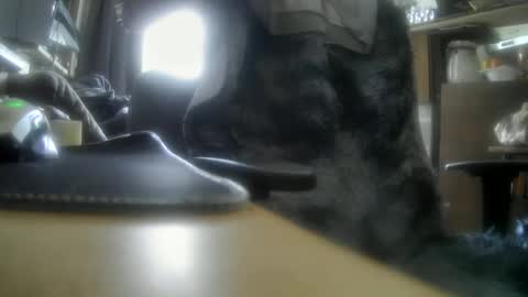 giovanne1 online show from December 5, 2024, 12:11 pm