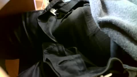 Snapshot of giovet chatting on December 31, 2024, 1:41 pm giovet online show from December 31, 2024, 1:41 pm