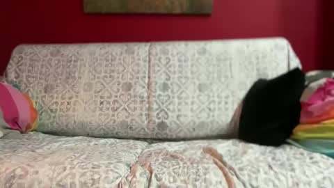 Snapshot of gitanoboy4 chatting on May 4, 2026, 8:38 pm gitanoboy4 online show from May 4, 2026, 8:38 pm